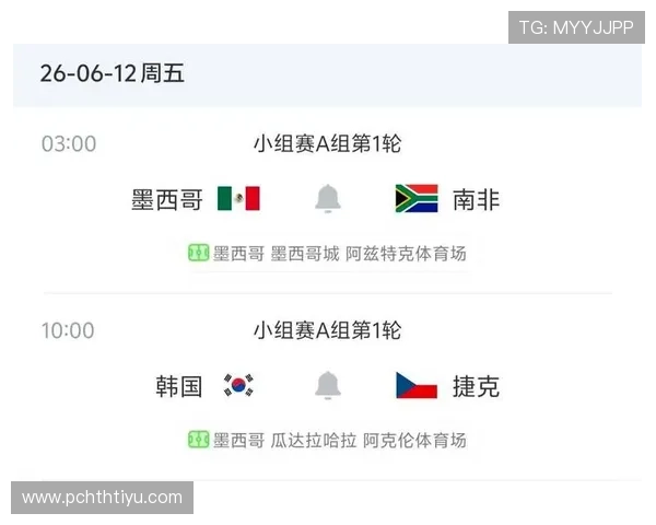 南非VS墨西哥比赛中文解说内容，全面解析比赛走势与关键战术变化